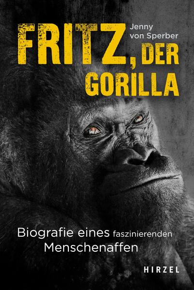 Honighäuschen (Bonn) - Als Jenny von Sperber Fritz zum ersten Mal begegnet, lässt der Gorilla sie nicht aus den Augen. Er ist damals schon über 50 Jahre alt, aber immer noch sehr charismatisch. Für die Journalistin ist klar: Sie will alles über das Leben von Fritz herausfinden. Geboren 1963, kam er 1966 als Wildfang von Kamerun nach Deutschland. Zu dieser Zeit waren Menschenaffen in Europa noch Seltenheiten, mussten mit Löffeln essen und bekamen Hammelfleisch zu Mittag. Als der Handel mit wilden Gorillas endlich verboten wurde, war Fritz schon mehrfacher Vater. Diese faszinierende Gorilla-Familiensaga erzählt nicht nur das bewegte Leben von Fritz, sondern zeigt auch die Entwicklung in europäischen Zoos im Umgang mit Menschenaffen auf. Sicher ist heute vieles deutlich besser geworden. Doch es bleiben Fragen, zum Beispiel, was es mit uns Menschen macht, wenn wir unsere nächsten Verwandten hinter Glas bestaunen. Und: Ist es überhaupt noch zeitgemäß, Menschenaffen einzusperren?