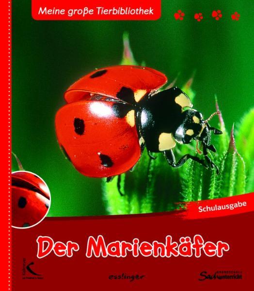Honighäuschen (Bonn) - Er ist ein Winzling unter den Insekten - kleiner als ein Fingernagel: der Marienkäfer. Haben Ihre Schüler schon mal einen Marienkäfer auf der Hand gehabt oder an einer Pflanze krabbeln sehen? Und wissen sie, dass es auch schwarze und gelbe Marienkäfer gibt? Wenn die Kinder dieses Buch lesen und sich die spannenden Fotos anschauen, erfahren sie viel Interessantes über das Leben dieser Käfer. Und auch, warum sich jeder Gärtner freut, wenn er Marienkäfer in seinem Garten hat!