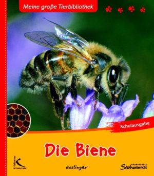 Honighäuschen (Bonn) - Mögen Ihre Schüler Honig? Dann wissen sie sicher auch, dass sie ihn diesen kleinen Insekten zu verdanken haben: den Bienen. Wie die Bienen das machen und wie die Menschen ihnen dabei helfen - das erfahren die Kinder in diesem Buch ganz genau. Bevor Bienen den wertvollen Grundstoff für den Honig in ihrem Bienenstock ablegen können, ist dort kunstvolle Arbeit gefragt: Waben bauen. Außerdem erfahren sie, warum Imker keine Angst vor Bienen haben müssen - und sie auch nicht!