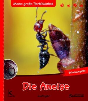 Die Ameise: Meine große Tierbibliothek | Luc Gomel