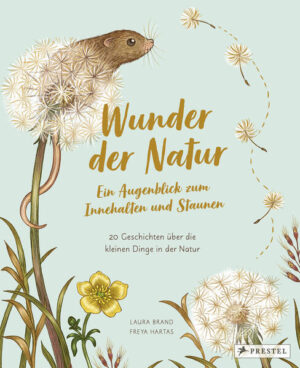 Wunder der Natur. Ein Augenblick zum Innehalten und Staunen: 20 Geschichten über die kleinen Dinge in der Natur | Laura Brand