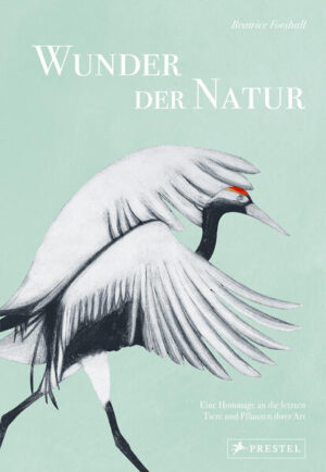 Wunder der Natur: Eine Hommage an die letzten Tiere und Pflanzen ihrer Art. Mit 150 exquisiten Illustrationen | Beatrice Forshall