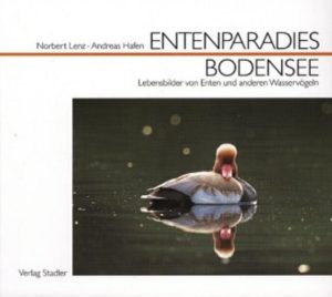 Honighäuschen (Bonn) - Interessante Details aus dem Leben der Wasservögel am Bodensee liefert der Autor Dr. Norbert Lenz. Diese werden durch die Aufnahmen von Andreas Hafen eindrucksvoll unterstützt.