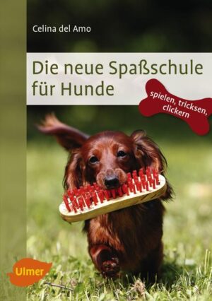 Honighäuschen (Bonn) - Hundeerziehung mal anders: Celina del Amo zeigt, wie man das Clickertraining einsetzen kann, um dem Hund viele lustige wie auch nützliche Dinge beizubringen. Die Hundespiele können aber auch ohne den Clicker umgesetzt werden. Lassen Sie sich inspirieren von jeder Menge Anregungen und Ideen: ob Späße, Spiele, Tricks oder nützliche Übungen. Viel Spaß beim Training - Ihnen und Ihrem Hund!