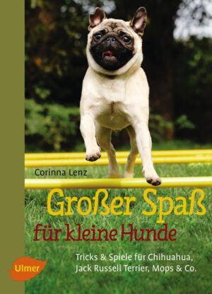 Honighäuschen (Bonn) - Sie suchen nach kostenlosen Hundespielen und Hundetricks für drinnen und draußen, die Sie mit Ihrem kleinen Hund machen können? Suche beendet: Corinna Lenz stellt in diesem Buch viele Beschäftigungsideen für Kleinhunde vor - von Zauberkiste bis Wackelbrett, von Zickzacklauf bis Umlaufbahn. Ein wahrer Spaß für Trickdogging-Teams und solche, die es werden wollen. Nachvollziehbare Schritt-für-Schritt-Anleitungen und umwerfende Fotos animieren zum Nachmachen. Egal, ob an Ihrer Seite ein Bully, ein Jack Russell oder ein Pinscher-Mix auf Spielespaß mit Ihnen wartet: Hier ist wirklich für jeden was dabei!