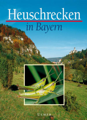 Honighäuschen (Bonn) - Das vorliegende Buch stellt die Heuschrecken Bayerns in anschaulicher und umfassender Form vor. Reich bebildert bietet es dem einschlägigen Wissenschaftler, aber auch dem interessierten Naturkundler eine Fülle von Informationen über diese beliebte Insektengruppe. Das Kernstück bildet die ausführliche Darstellung aller 75 in Bayern nachgewiesenen Arten, vor allem in Bezug auf Verbreitung, Biologie, Lebensräume und Bestandssituation. Auch der Heuschreckenfauna verschiedener Lebensraumtypen und der einzelnen naturräumlichen Regionen wird breiter Raum gewidmet. Die besondere Berücksichtigung von Gefährdungsfaktoren und Schutzmaßnahmen für Arten und ihre Lebensräume machen das Buch zu einem naturschutzfachlichen Standardwerk für die Heuschrecken Bayerns und darüber hinaus.