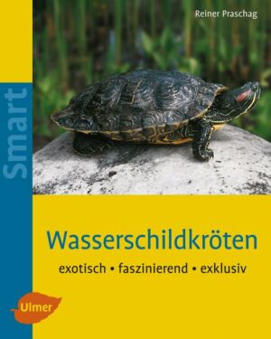 Honighäuschen (Bonn) - Dieses Buch beschreibt die richtige Haltung und Pflege von Schmuck- und Zierschildkröten. Es zeigt am Beispiel der Rotwangen-Schmuckschildkröte, worauf es bei der Pflege von Wasserschildkröten im Aquarium ankommt. Welche Gegebenheiten und Bedingungen für die Haltung von Wasserschildkröten in der Wohnung und auch im Gartenteich erfüllt sein sollten, welche Schildkrötenarten sich besonders eignen, wie sie gepflegt und gesund erhalten werden beschreibt dieses Buch in verständlicher, freundlicher und leicht nachvollziehbarer Form. Eine übersichtliche Einführung für jeden, der sich mit dem Gedanken trägt, die attraktiven Wasserschildkröten in sein Heim zu holen.