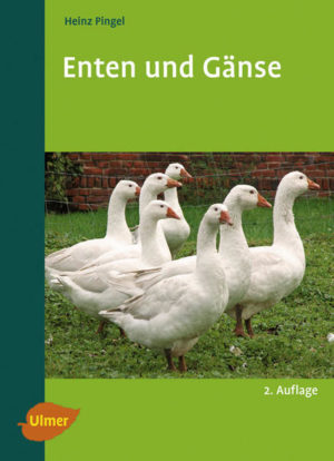 Honighäuschen (Bonn) - Enten und Gänse eine alternative Einkommensquelle Zucht und Mast von Enten und Gänsen können eine alternative Einkommensquelle im landwirtschaftlichen Betrieb sein. Dieses Buch informiert den interessierten Leser über alle Aspekte der Biologie, Haltung und Fütterung, Zucht und Gesunderhaltung der wirtschaftlich interessantesten Enten- und Gänsearten oder -rassen. Ausführlich eingegangen wird auch auf die Verwertung der entstehenden Produkte wie Fleisch Eier oder Federn und Daunen sowie auf die Wirtschaftlichkeit dieses interessanten Produktionszweiges. - eine aktuelle Alternative - 2. Auflage komplett aktualisiert