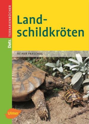 Honighäuschen (Bonn) - Urzeitliche Wesen richtig pflegen. Das Buch bietet eine umfassende Einführung in die artgerechte Haltung der Landschildköten im Gehege und im Schildkrötenhaus. Das Buch gibt Anleitungen zu: - Landschildkröten in der Natur - Handel und Schutzbestimmungen - Biologische Besonderheiten - Überlegungen vor der Anschaffung - Arten für Anfänger und Fortgeschrittene - Naturgerechte Unterbringung - Ernährung und Gesundheit - Zucht und Aufzucht - aktuell - informativ - praxisbezogen