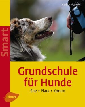 Honighäuschen (Bonn) - So hört Ihr Hund! Erfahren Sie was Sie tun müssen, damit Ihr Hund wirklich folgt, wie Ihr Hund jederzeit freudig zu Ihnen zurückkommt. Karina Mahnke ist Tierärztin mit Zusatzbezeichnung Verhaltenstherapie und Mitinhaberin der Hundeschule "Knochenarbeit". So wird Ihr Hund ein angenehmer Begleiter.