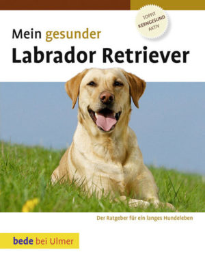 Honighäuschen (Bonn) - Kompetent und verständlich beschreibt dieses Buch die rassegerechte Vorgehensweise zur richtigen Gesundheitspflege Ihres Labrador Retrievers. Wie können Sie Krankheiten vorbeugen oder erkennen, ob Ihr Labrador Retriever krank ist, wie können Sie ihm Linderung verschaffen, welche Krankheiten können bei der Rasse gehäuft auftreten  alle Fragen werden in diesem Ratgeber umfassend beantwortet. Ein großes Kapitel zur Ersten Hilfe beim Hund hilft Ihnen, im Notfall schnell reagieren zu können. Erfahren Sie auch, welches Hundefutter in welchem Lebensalter für Ihren Labrador Retriever das richtige ist. Und mit dem kompakten Erziehungs-ABC wird aus Ihrem kleinen Racker ein angenehmer Begleiter.