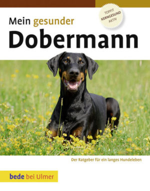 Honighäuschen (Bonn) - Kompetent und verständlich beschreibt dieses Buch die rassegerechte Vorgehensweise zur richtigen Gesundheitspflege Ihres Dobermanns. Wie können Sie Krankheiten vorbeugen oder erkennen, ob Ihr Dobermann krank ist, wie können Sie ihm Linderung verschaffen, welche Krankheiten können bei der Rasse gehäuft auftreten  alle Fragen werden in diesem Ratgeber umfassend beantwortet. Ein großes Kapitel zur Ersten Hilfe beim Hund hilft Ihnen, im Notfall schnell reagieren zu können. Erfahren Sie auch, welches Hundefutter in welchem Lebensalter für Ihren Deutschen Schäferhund das richtige ist.Und mit dem kompakten Erziehungs-ABC wird aus Ihrem kleinen Racker ein angenehmer Begleiter.