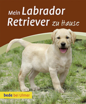 Honighäuschen (Bonn) - Das ABC der Labrador-Haltung - Auswahl, Kauf und Aufzucht des Welpen - Checklisten zu Kosten und Züchter - Der Welpentest hilft bei der Auswahl Spielen Sie mit dem Gedanken einen Labrador Retriever anzuschaffen, sind aber noch unentschlossen? Mit diesem Buch finden Sie heraus, ob ein Labrador Retriever zu Ihnen passt und was Sie bei Anschaffung und Aufzucht berücksichtigen müssen. Prüfen Sie mit den Checklisten, mit welchen zusätzlichen Kosten Sie bei der Haltung eines Labradors rechnen müssen, ob der Züchter Ihrer Wahl die gängigen Vorraussetzungen erfüllt und der Welpe gesund ist. Mit vielen Tipps zu Pflege und Ernährung und einem extra Kapitel zu den Entwicklungsphasen des Labradors sind Sie für alle Fälle gerüstet.