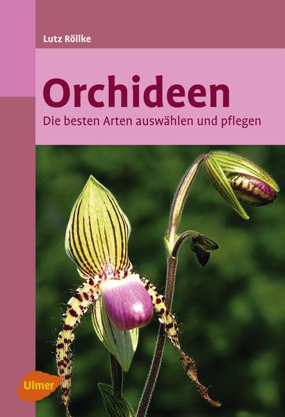 Honighäuschen (Bonn) - Orchideen faszinieren durch ihre Formen- und Farbenvielfalt. Egal ob Sie Orchideen umtopfen, Orchideen gießen und pflegen oder Orchideen schneiden wollen, dieses Buch zeigt, wie Sie lange Freude an Ihren Schönheiten haben. Wo wachsen Orchideen am besten? Wie funktioniert die Orchideenpflege? Wann wird umgetopft und was muss dabei beachtet werden? Rund 40 pflegeleichte Orchideenarten werden vorgestellt. Außerdem gibt das Buch Hinweise zum Orchideenkauf und zum Einführen von Orchideenarten aus dem Ausland.