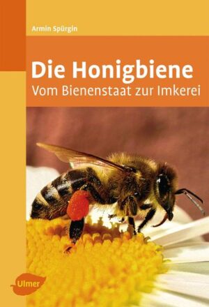 Honighäuschen (Bonn) - Beeindruckend produktiv Ein einmaliger Einblick in die Welt der Honigbienen Der Weg von der Blüte zum leckeren Honig Imkern mit Freude und richtig mit den Bienen umgehen Dieses Buch gibt Ihnen einen Einblick in das Bienenvolk, das Leben der Bienen und den Aufbau ihres Staates. Erfahren Sie, wie der Bienenstaat und Bienensprache funktionieren, wie die Menschen mit der Imkerei begannen und das praktische Imkern heute aussieht. Außerdem finden Sie alles Wichtige zu den Themen: Umgang mit den Bienen, der beste Standort für die Völker, Beuten und Rähmchen, jährliche Kosten, Produkte der Bienen, Imkerlatein und Fachberatung.