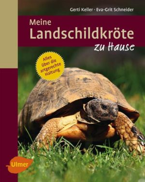 Honighäuschen (Bonn) - Der Ratgeber zur artgerechten Haltung Jahreszeitlich richtige Ernährung, Sonne und Winterschlaf sind Grundvoraussetzungen für ein gesundes und langes Schildkrötenleben. Dieser reich bebilderte Ratgeber zeigt, was dazu gehört, Landschildkröten artgemäß zu halten und beschreibt, wie gesundheitliche Probleme erkannt und Jungtiere nachgezogen werden können. Außerdem werden zehn Landschildkrötenarten vorgestellt, die ähnliche Ansprüche an die Haltungsbedingungen stellen.