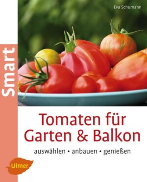 Honighäuschen (Bonn) - Alle lieben Tomaten! - Tomaten anbauen und pflegen - Für Balkon, Terrasse und Garten - Mit leckeren Rezepten Es gibt nichts aromatischeres als eine frische Tomate vom eigenen Strauch. Und Tomaten anbauen ist eigentlich ganz einfach, egal ob im Garten oder auf einem Mini-Balkon. In diesem kleinen Ratgeber finden Sie alles was Sie wissen müssen: Eine bunte Vielfalt pflegeleichter Sorten, Anbautipps für Garten und Balkon, pfiffige Bewässerungsideen und schnelle Hilfe, sollten Ihre Pflänzchen einmal kränkeln. Selbst Samen gewinnen ist auch ganz einfach! Entdecken Sie außerdem superleckere Rezepte zum Gleichgenießen oder Vorrathalten.