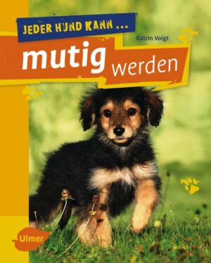 Honighäuschen (Bonn) - Den Mutigen gehört die Welt - Jeder Hund kann lernen, gelassen zu bleiben - Individuelle Lösungen je nach Problemursache - Leicht umzusetzen dank praktischer Schritt-für-Schritt-Anleitungen Ihr Hund hat in bestimmten Situationen Angst? Finden Sie die Ursache heraus und gehen Sie das Problem an. Ihrem Hund zuliebe! Eine Checkliste hilft Ihnen, herauszufinden, warum Ihr Hund Angst hat und welche Übungen ihm helfen können. Die praktischen Trainingsanleitungen auf dem neuesten Stand der Hundeforschung sind gut verständlich und einfach umsetzbar. Für einen souveränen, gelassenen Vierbeiner an Ihrer Seite!