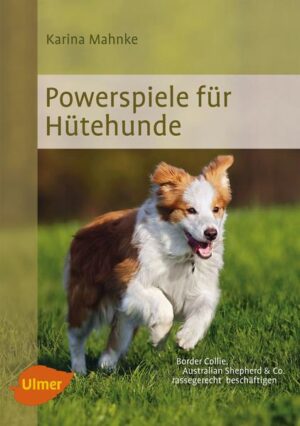 Honighäuschen (Bonn) - Wie Sie Hütehunde rassegerecht beschäftigen können, wird Ihnen in diesem Buch gezeigt. Im großen Hütespiel stecken Spiel, Spaß und Spannung in einem - die optimale Beschäftigung für Hunde ohne aufzudrehen und zu überdrehen! So kann Ihr Vierbeiner seine Hüteveranlagung ausleben und sich dabei so richtig austoben. Erfahren Sie außerdem, wie Sie Ihren Hütehund im Alltag ideal auslasten und gleichzeitig mit ihm für ein unbeschwertes Miteinander trainieren und ausbilden können. Für ein harmonisches Mensch-Hütehund-Gespann!