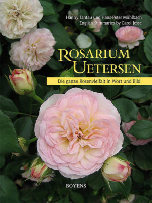 Honighäuschen (Bonn) - Das Rosarium Uetersen, das im Jahr 2009 sein 75-jähriges Bestehen feiern kann, zählt zu den bedeutendsten Rosengärten in Deutschland. Aus Anlass dieses Jubiläums wird in dem seit langem überfälligen Führer durch das Rosarium die einzigartige Sammlung von rund 900 Rosensorten in über 30.000 Pflanzen beschrieben. Das mit faszinierenden Farbfotos aus dem Rosarium reich bebilderte Buch vermittelt einen anschaulichen Eindruck der wunderschönen Rosenanlage mit ihren sehenswerten historischen Rosen und hervorragenden Sorten weltbekannter Rosenzüchter. Ein kurzer einführender Abschnitt stellt die interessante Gründungsgeschichte dar, gefolgt von einer ausführlichen Beschreibung der Sammlung anhand zahlreicher ausgewählter Rosensorten. Von der historischen Duftrose Souvenir de la Malmaison bis zu Bremer Stadtmusikanten, von der Konrad Adenauer-Rose bis zur modernen, nostalgischen Heidi Klum-Rose ist alles vertreten, was in der Rosenwelt Rang und Namen hat. Hinweise auf die Herkunft der Rosennamen fehlen ebenso wenig wie das Erscheinungsbild des Rosariums im Jahresverlauf oder Vorschläge für einen Rundgang durch die ausgedehnte, rund 7 Hektar große Anlage. Ein Lageplan des Rosariums und eine komplette Rosenliste mit Hinweisen auf die Standortareale erleichtern das Auffinden einzelner Sorten. Vervollständigt wird das Buch durch ein Kapitel über Rosenzüchtung, die in der Rosenstadt Uetersen aufgrund des hier seit über hundert Jahren ansässigen Rosenzuchtbetriebes Tantau weltweite Bedeutung erlangt hat. Damit dieser Führer durch das Rosarium auch für die zahlreichen ausländischen Besucher verwendbar ist, sind die einzelnen Kapitel durch eine verkürzte Fassung in englischer Sprache ergänzt.