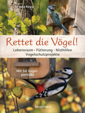 Honighäuschen (Bonn) - Jahr für Jahr sinkt die Zahl der Brutpaare, und die Hälfte unserer heimischen Vogelarten gilt als gefährdet. Welche Ursachen dafür verantwortlich sind, was wir gegen das Vogelsterben tun können - z.B. mit der richtigen Fütterung, Nisthilfen oder Aktionen für Vogelschutz - zeigt dieses Buch. Den Schwerpunkt bilden die Porträts von 54 Brutvögeln und wie wir sie in unserer Umgebung beobachten können. Jeder Steckbrief nennt die wesentlichen Kennzeichen und bietet Einblick in den Lebensraum, die Nistbedingungen und die Ernährung der Vogelart. Das Buch für die Freunde von Amsel, Drossel, Fink und Star! Ausstattung: durchgehend farbige Abbildungen