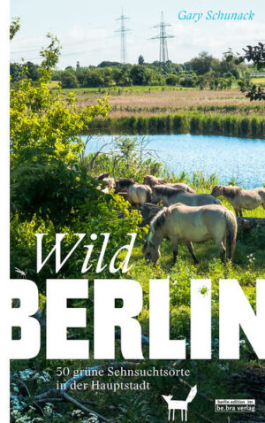 Viele Berliner zieht es hinaus ins Grüne. Doch oft landen sie dabei auf überfüllten Spazierwegen an den immer gleichen Orten. Die meisten der hier vorgestellten Naturparadiese sind dagegen weitgehend unbekannt und selbst am Wochenende menschenleer. Wasserfälle