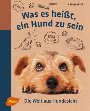 Honighäuschen (Bonn) - Hundebesitzer haben oft das Gefühl, genau zu verstehen, was ihr Hund denkt und fühlt, aber mit Sicherheit wissen können sie es nicht  bis jetzt! Anhand der aktuellsten wissenschaftlichen Erkenntnisse und anschaulichen Illustrationen gibt dieses Buch einen ganz neuen Einblick in die Hundewelt: Wie fühlt es sich wirklich an, ein Hund zu sein? Sieht ein Hund die Welt tatsächlich nur in Schwarz-Weiß? Was hält er von anderen Hunden und was bedeuten wir Menschen ihm? Wie nimmt er sich eigentlich selbst wahr? Auf all diese und noch viel mehr Fragen weiß Karen Wild Antwort und zeigt Ihnen auf unterhaltsame und verständliche Weise, was es wirklich heißt, ein Hund zu sein.