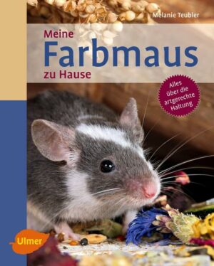 Honighäuschen (Bonn) - Flink, niedlich, knopfäugig - so sind Farbmäuse. Wie sieht das perfekte Mäuseheim aus? Welche Einstreu eignet sich? Was fressen die kleinen Kletterkünstler am liebsten? Wie Sie die kleinen Nager tiergemäß halten und pflegen, erfahren Sie in diesem Ratgeber.