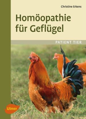 Honighäuschen (Bonn) - Sie möchten Ihr Geflügel  egal ob Hühner, Puten, Tauben oder Enten  im Krankheitsfall homöopathisch behandeln, vorbeugend unterstützen und gesund erhalten? Mit diesem Buch erlernen Sie die Grundlagen der Homöopathie und erfahren, wie Sie diese einfach und schnell praktisch umsetzen können. Die wichtigsten und häufigsten Erkrankungen werden detailliert beschrieben und eine Auswahl möglicher homöopathischer Mittel wird aufgezeigt. Mit diesem Buch haben Sie den idealen Ratgeber für jeden Geflügelhalter stets zur Hand.