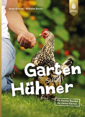 Honighäuschen (Bonn) - Eine Handvoll Hühner im Garten ist wie Meditation und Yoga zusammen: Das zufrieden gackernde Federvieh verspricht Entspannung pur! Ob possierliche Federfüßige Zwerghühner, die gemächlich durch den Garten spazieren, Marans, die schokobraune Eier legen, oder behäbige Amrocks, die eierlegende Wollmilchsau unter den Hühnerrassen,  hier werden Sie garantiert fündig! Und keine Sorge: Mit der richtigen Hühnerrasse bleibt Ihre Grasnarbe im Garten erhalten, Sie müssen keine Festung aus Ihrem Garten machen, benötigen keinen Gehörschutz und Stressbewältigung in Form von Kuscheln ist inklusive! Ein weiterer großer Pluspunkt: Sie bekommen die weltbesten Eier frei Haus geliefert!