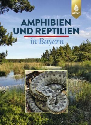 Dieses Buch beschreibt ausfu"¡hrlich die Verbreitung, die Lebensweise und die Lebensräume aller 30 in Bayern heimischen sowie aller weiteren dort nachgewiesenen Amphibien- und Reptilienarten. Die Gefährdungen der Tiere sowie ihrer Lebensräume werden aufgezeigt und die Maßnahmen und Möglichkeiten zu ihrem Schutz erläutert. Rund zwei Dutzend Praxisbeispiele von erfolgreich durchgefu"¡hrten Schutzprojekten regen zum Nachahmen an und machen das Buch auch u"¡berregional zu einem unverzichtbaren Standardwerk fu"¡r den Natur- und Artenschutz.