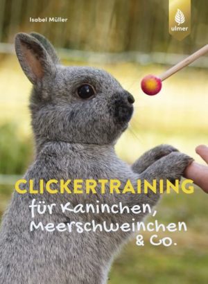 Honighäuschen (Bonn) - Clickern mit Kaninchen, Meerschweinchen, Ratten und Co.: Slalom laufen, Pfötchen geben, stubenrein werden, ruhig bleiben beim Krallenschneiden und vieles mehr. So fördern Sie mit Clickerübungen Ihre kleinen Lieblinge spielerisch. Mit genauen Anleitungen für das Clickertraining zeigt Ihnen die angehende Tierärztin Isabel Müller anschaulich, wie Clickertraining funktioniert, welche Clickerübung für welches Tier geeignet ist, wie Sie Ihrer Fellnase lustige und nützliche Tricks beibringen und wie Sie Ängste und Stress weg-clicken können. Übungskarten für die Jackentasche, FAQ-Spezialseiten und ein Trainingstagebuch erleichtern das Lernen mit dem Clicker.