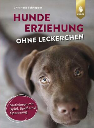 Honighäuschen (Bonn) - Sie möchten Ihren Hund nicht dauernd mit Futter belohnen? Kein Problem! Dieser Ratgeber informiert über echte Alternativen zur Futterbelohnung. Lernen Sie eine Vielzahl neuer Belohnungsmöglichkeiten kennen und prüfen Sie anhand mehrerer Tests, welche besonderen Vorlieben Ihr eigener Hund hat. Erfahren Sie, wie die verschiedenen Alternativen optimal im Alltag eingesetzt werden, und wie Sie Ihren Vierbeiner einfach und ohne ständiges Leckerligeben erziehen können. Darüber hinaus erhalten Sie Informationen über mögliche Ursachen unerwünschten Verhaltens und entsprechende Lösungswege, über Vor- und Nachteile der Futterbelohnung und über typische Trainingsfehler im Umgang mit Futter.