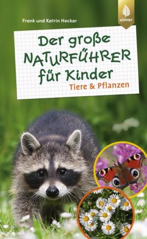 Honighäuschen (Bonn) - Bücher über Tiere und Pflanzen gibt es viele - aber in diesem Naturführer steht, was Kinder wirklich wissen wollen. Über 200 Arten von Säugetieren, Vögeln, Eidechsen und Fröschen, Fischen, Insekten und anderen Krabbeltieren, von Blumen, Bäumen und Sträuchern finden Sie und Ihre Kinder in diesem Buch. Die Texte sind bewusst kurz gehalten, dafür hochspannend, unterhaltsam und einprägsam. Forschertipps, Rezepte und Bau- und Bastelanleitungen bieten viele Tipps für Aktivitäten in der Natur. Ein toller Begleiter für draußen  oder ganz einfach zum Schmökern zu Hause.