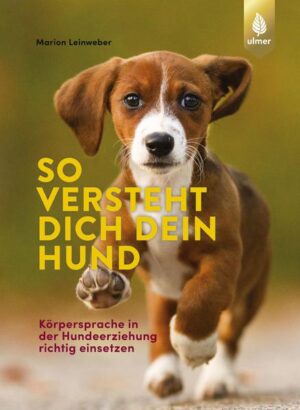 Honighäuschen (Bonn) - Wie Hunde unserer Körpersprache deuten. Mit diesem Buch erhalten Sie einen Einblick in die Vielfalt der Eindrücke, die Hunde von uns haben. Schon geringste Veränderungen in Körperhaltung, Mimik und der menschlichen Stimme beinhalten für den Vierbeiner wichtige Informationen. Ob Fingerzeig, gebeugter Oberkörper oder flache Hand: Die einzelnen menschlichen Signale und ihre Wirkung werden in diesem Buch ausführlich geschildert und mit einer Vielzahl von Fotos und Grafiken erklärt. Probieren Sie die körpersprachliche Kommunikation selbst anhand von einfachen Übungen aus, und erfahren Sie, auf welche Weise Ihr Hund Sie wahrnimmt und wie Sie sein Handeln im Alltag beeinflussen können!