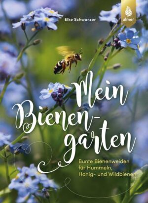 Honighäuschen (Bonn) - Für Wildbienen und Hummeln werden unsere Gärten ein immer wichtigerer Zufluchtsort und Nahrungsquell. In diesem Buch erfahren Sie, wie Sie es den nützlichen Fluggästen in Ihrem Garten noch gemütlicher machen können. Kommen Sie mit auf Entdeckungsreise durch den Garten und lernen Sie die häufigsten Wildbienen und Hummeln persönlich kennen. Erfahren Sie, welche Pflanzen Maskenbiene, Gehörnte Mauerbiene, Baumhummel und Co. am liebsten mögen und wie Sie diese in Ihren Garten integrieren. Mit ausführlichen Bienen-, Hummel- und Pflanzenporträts, vielen Tipps für die bienenfreundliche Gartengestaltung und einem Flugzeitenkalender steht einem emsigen Summen und Brummen in Ihrem Garten nichts mehr im Wege.