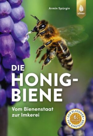 Honighäuschen (Bonn) - Dieser kompakte Ratgeber führt Sie in die Welt der Honigbiene ein und vermittelt viele Informationen zu dem kleinen Insekt. Erfahren Sie, wie die Menschen mit der Imkerei begannen, wie das praktische Imkern heute aussieht und warum Bienen so wichtig sind. Lernen Sie, wie die Bienensprache und der Bienenstaat funktionieren, und was man sonst noch über Körperbau, Bienenkrankheiten, Wabenbau und Honigentstehung wissen sollte. Darüber hinaus finden Sie in diesem Buch alles Wichtige rund um die Imkerei: Umgang mit den Bienen, der beste Standort für die Völker, Beuten und Rähmchen, jährliche Kosten, Produkte der Bienen, Imkerlatein und Fachberatung. Ideal für Imker-Neulinge. Perfekt für unterwegs.