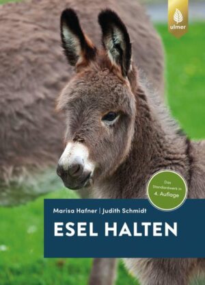 Honighäuschen (Bonn) - Diese Buch ist ein Muss für alle Eselhalter und die, die es werden wollen! Sie erfahren in diesem Buch, wie Sie Ihre Eseln von Geburt an bis ins hohe Alter artgerecht halten. Es informiert über die körperliche Eigenschaften der Langohren, ihre Erziehung und Ausbildung für Freizeitaktivitäten. Erfahren Sie das Wichtigste über die Anschaffung, artgerechte Stall- und Weideformen, Ernährung, Gesunderhaltung, Aufzucht und Ausrüstung sowie den geschichtlichen Hintergrund der Eselhaltung. Anhand von 20 Zeichnungen zu Mimik und Körpersignalen lernen Sie die Bedürfnisse Ihre Esel besser kennen. Und welcher Esel passt zu Ihnen? Porträts von Wild- und Halbeseln bis zu den gezüchteten Rassen.