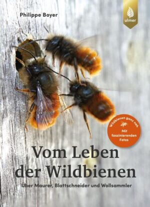 Vom Leben der Wildbienen: Über Maurer, Blattschneider und Wollsammler. Wildbienen ganz nah - Mit faszinierenden Fotos | Philippe Boyer