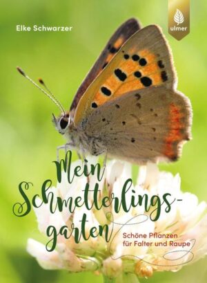 Honighäuschen (Bonn) - Unsere Gärten werden für Schmetterlinge als Zufluchtsort und Nektartankstelle immer wichtiger. Aber was können wir konkret tun, damit sich die flatterhaften Gartenbesucher wohlfühlen? Integrieren Sie Schmetterlingspflanzen in Ihre Gartengestaltung, um die feine Fluggesellschaft anzulocken, und erfreuen Sie sich am Anblick der verschiedenen Falter-Arten. Auch im Kleinen kann man Raupen und Schmetterlingen das Leben erleichtern und sich an Farbenpracht und Flugmanövern erfreuen. Die vorgestellten Nektar- und Raupenfutterpflanzen sind hübsch und passen auch in kleine Gärten oder gar auf den Balkon.