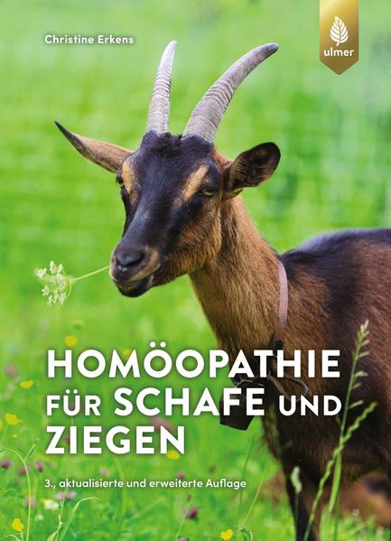 Honighäuschen (Bonn) - Sie möchten Ihre Schafe und Ziegen homöopathisch behandeln? Dieses Buch bietet Ihnen die Grundlagen und das nötige Wissen, um homöopathische Mittel bei Ihren kleinen Wiederkäuern mit Erfolg anwenden zu können. Sie erfahren, welche homöopathischen Mittel zu den häufigsten vorkommenden Erkrankungen, Verletzungen, Vergiftungen, aber auch bei Parasitenbefall, Schock und Schreckzuständen sowie in der Rekonvaleszenz passen. Komplett neu bebildert und erweitert, präsentiert dieses Grundlagenwerk zudem die wichtigsten Mittel für die homöopathische Stallapotheke, eine ausführliche Darstellung der Konstitutionstypen und ein übersichtliches Verzeichnis der homöopathischen Mittel zur schnellen Orientierung.