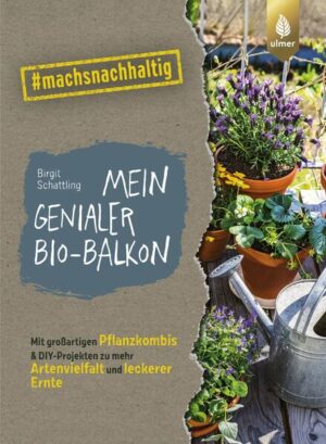 Mein genialer Bio-Balkon: Mit großartigen Pflanzenkombis & DIY-Projekten zu mehr Artenvielfalt und leckerer Ernte. #machsnachhaltig | Birgit Schattling