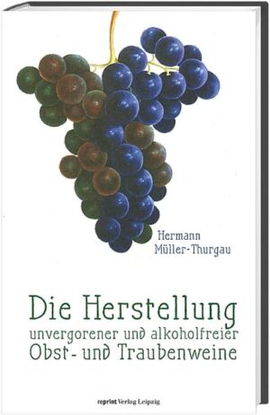 Manche Selbstverständlichkeit ist erst vor etwa 100 Jahren wirklich selbstverständlich geworden. Dazu gehört der Genuss alkoholfreier Trauben- und Obstsäfte. Dass wir diese Säfte heute im Supermarkt kaufen können, verdanken wir wesentlich den Forschungen des schweizerischen Botanikers und Önologen Hermann Müller-Thurgau. Bis zum Ende des 19. Jahrhunderts konnte man zuckerhaltige Fruchtsäfte allein dadurch haltbar machen, dass man sie vergären ließ. Müller-Thurgau begann schon während seiner Zeit an der Königlich Preußische Lehranstalt für Obst- und Weinbau in Geisenheim (1876-1890) mit Forschungen zur Konservierung unvergorener Säfte. Wegen der klaren Konsistenz seiner alkoholfreien Getränke schlug Müller-Thurgau vor, den Begriff „unvergorene Obst- und Traubenweine“ einzuführen. Der Begriff hat sich nicht durchgesetzt, dafür umso mehr das Produkt. Sein Buch bietet bis heute zahlreiche grundlegende Tipps für die heimische Kleinproduktion von Obst- und Traubenweinen.