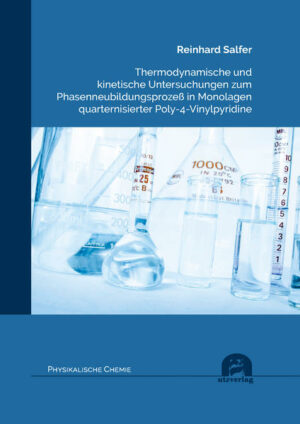 Honighäuschen (Bonn) - Thermodynamische und kinetische Untersuchungen zum Phasenneubildungsprozeß in Monolagen quarternisierter Poly-4-Vinylpyridine