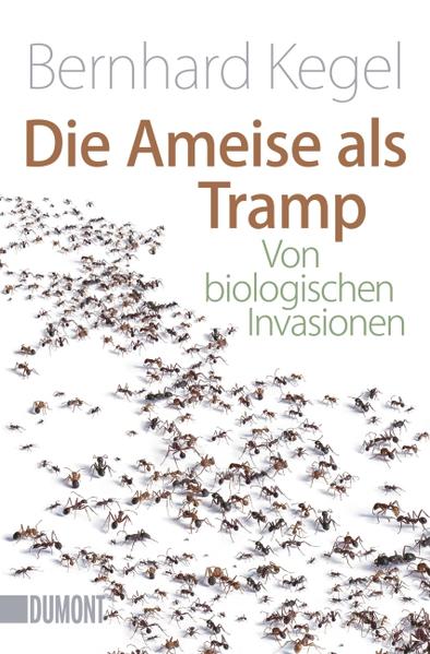 Die Ameise als Tramp | Honighäuschen