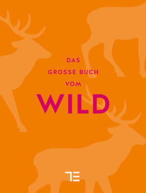 Ob Wildschwein, Reh oder Hirsch: Wild in der Küche und auf dem Teller ist immer ein ganz besonderes Erlebnis. In der Warenkunde erfahren Sie alles Wissenswerte über das Nahrungsmittel Wild: Woran man gute Fleischqualität erkennt und was bei Kauf und Lagerung von Wild zu beachten ist. In der Küchenpraxis werden alle relevanten Garmethoden rund um das Thema Wild vorgestellt, sei es Grillen, Räuchern, Schmoren oder Pochieren. Gutes Gelingen sichern die brillanten Step-Fotos, die einzelne Arbeitsschritte veranschaulichen. Im opulent bebilderten Rezeptteil haben neun Spitzenköche Klassiker der Wildküche neu interpretiert, wie z. B. den Rehrücken im Salzteig oder die Kakao-Pappardelle mit Wildhasenragout. Und dazu: Zahlreiche unterhaltsame Sonderseiten bieten Ihnen umfassendes Hintergrundwissen zum Thema Wild. Das beliebte Standardwerk zum Thema Wild jetzt in limitierter Sonderausgabe mit neuem Coverdesign zum Aktionspreis.