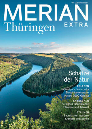 Thüringen ist ein Wanderparadies mit Wäldern
