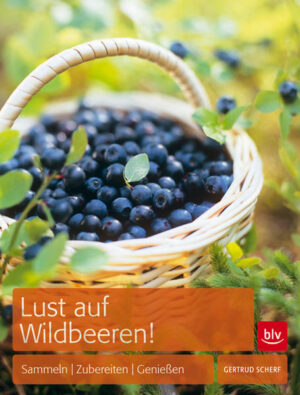 Silbern überhauchte Heidelbeeren, winzige Walderdbeeren mit betörendem Duft, würzig-herbe Holunderbeeren: Diese Köstlichkeiten kann man in Wald und Flur entdecken. Und es gibt noch viele andere Wildbeeren, die zum Verzehr geeignet und dazu äußerst schmackhaft sind. Es lohnt sich, Ebererschen-Birnen-Gelee einmal auszuprobieren. Oder eine Hagenbuttensuppe zu kosten. Oder Schlehenlikör selbst anzusetzen. Unvergleichliche Geschmackserlebnisse sind zu erwarten! "Lust auf Wildbeeren" (BLV Buchverlag) stellt essbare Wildbeeren im Porträt vor - mit Hinweisen auf ihre giftigen Doppelgänger. Viele Rezepte geben Anregungen, wie man die selbst gesammelten Beeren so zubereiten kann, dass sie ihr intensives, frisches Aroma besonders gut entfalten. Vorgestellt werden Zubereitungen für Salate und Suppen, Hauptspeisen, Desserts, Kuchen, Torten, Konfekt, Saft, Gelee, Mus und Konfitüre. Auch Haustee, Wein, Likör, Aromatisches und Pikantes verführen den Gaumen. Dazu gibt es Tipps zum Konservieren durch Tiefgefrieren und Trocknen. Die Sammelübersicht zeigt die Wildbeeren auf einen Blick und hilft, mögliche Verwechslungen auszuschließen. Dr. Gertrud Scherf war Wissenschaftliche Mitarbeiterin am "Institut für die Didaktik der Biologie" der Universität München.Als Sachbuchautorin ist sie insbesondere in den Bereichen Natur und Garten tätig. Die kulturgeschichtlichen Aspekte der Themen sowie der Naturschutz sind der Autorin besonders wichtig. Sie verdeutlicht dies in ihren Büchern und Artikeln, bei Vorträgen, Seminaren und Führungen.