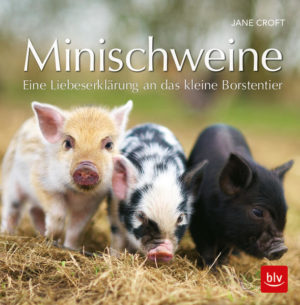 Honighäuschen (Bonn) - Hochintelligent, verschmust, lustig, leicht zu erziehen: Minischweinchen, die idealen Haustiere. Das liebevoll gestaltete Geschenkbuch: Minischweine auswählen, pflegen, füttern und beschäftigen. Mit Zitaten prominenter Schweine-Fans von Winston Churchill bis George Clooney.