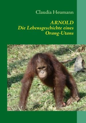 Honighäuschen (Bonn) - Arnold erzählt seine Lebensgeschichte: er wurde im Sumpfregenwald Borneos geboren und geriet schon in der frühen Kindheit in Gefangenschaft. Doch er hatte Glück, wurde befreit und in eine Auswilderungsstation gebracht. Dort verbrachte er mehrere Jahre und musste eine Schullaufbahn durchlaufen, bevor er schließlich ausgewildert werden konnte.